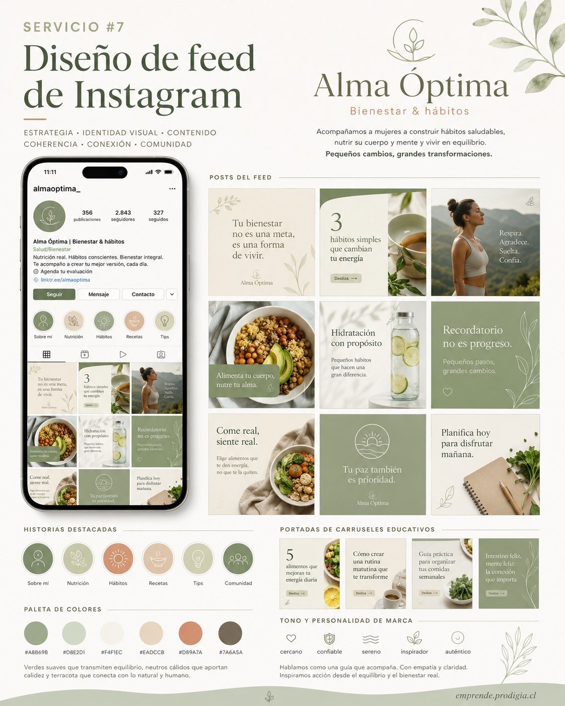 Diseño de feed para Alma Óptima